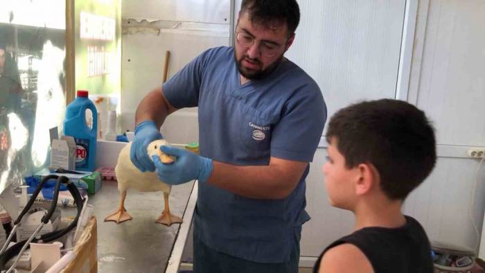 Yaşı Küçük Kalbi Büyük Halit’ten Alkışlanacak Hareket