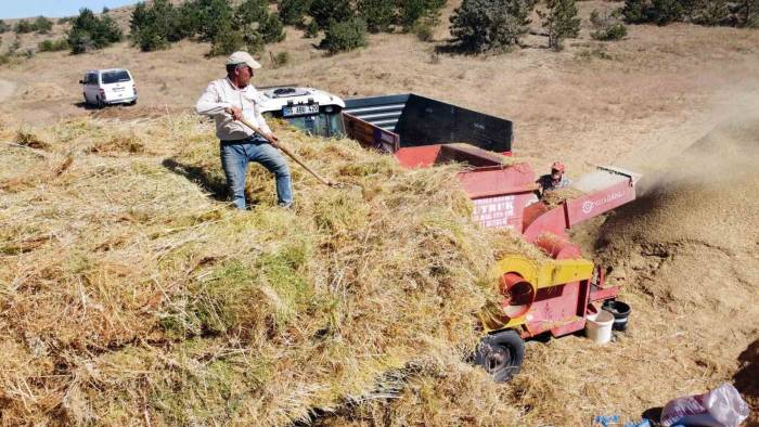Yozgat’ta Yeşil Mercimek Hasadı Sonrası Çiftçilerin Saman Mesaisi