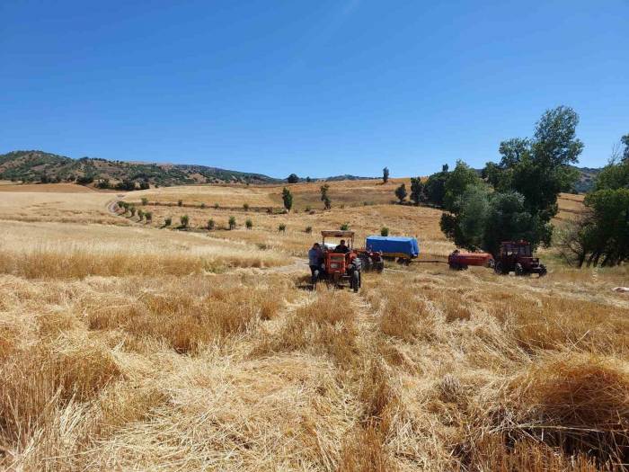 Çorumlu Çiftçiler Patoz Makinelerinden Vazgeçemiyor
