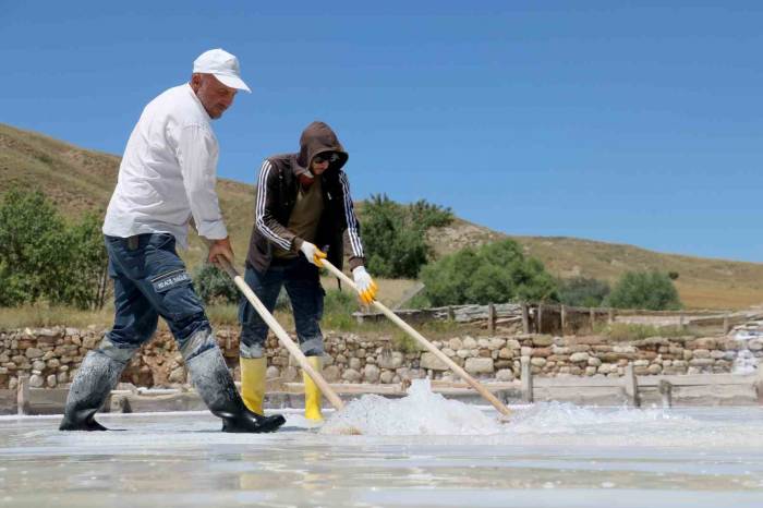 Yağmur Yağışları Tuz Hasadının Düşüşüne Neden Oldu