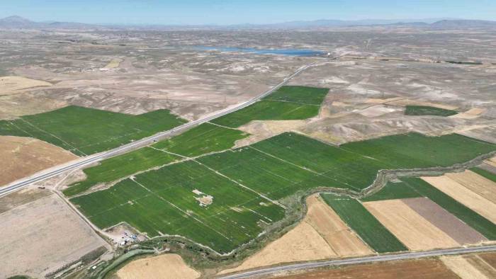 Patateste Rekor Rekolte Bekleniyor