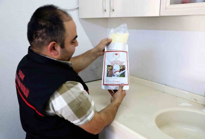 Uşak Tarım Ve Orman İl Müdürlüğü Ağız Sütünün Seri Üretimine Başladı