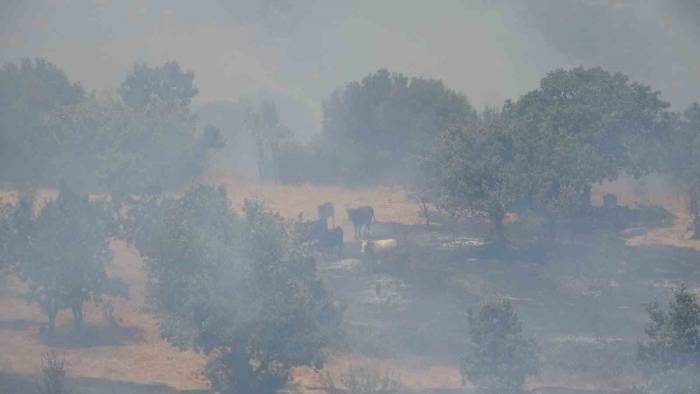 Mangal Kömürü Ocağından Çıkan Yangın Dron İle Görüntülendi