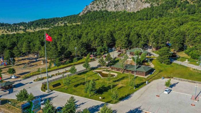 Kefe Yaylası Temiz Hava Ve Serinlik Arayanların Gözdesi Oldu