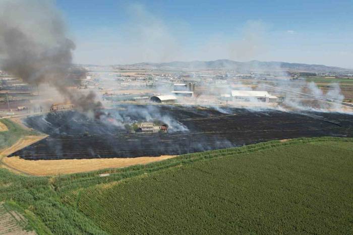 Kahramanmaraş’ta Anız Yangını Korkuttu