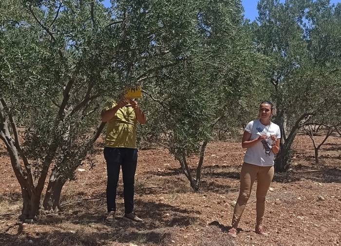 Zeytincilere “ilaçlama” Çağrısı