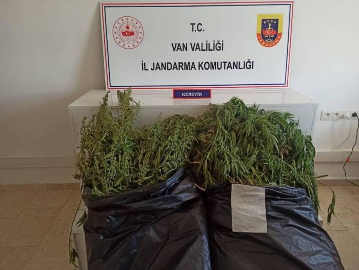 Van’da Hint Keneviri Operasyonu
