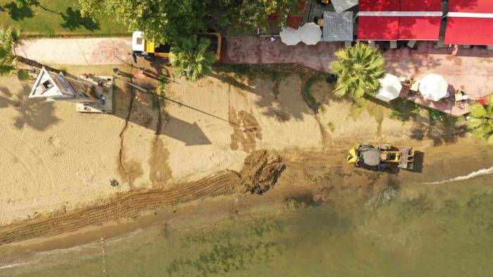 Akasya Plajı’nda Rutin Temizlik