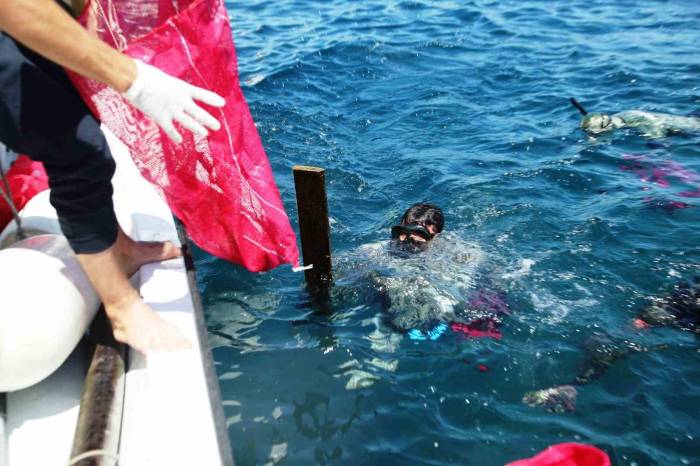 Denizin Dibinden Çıkanlar Şok Etti