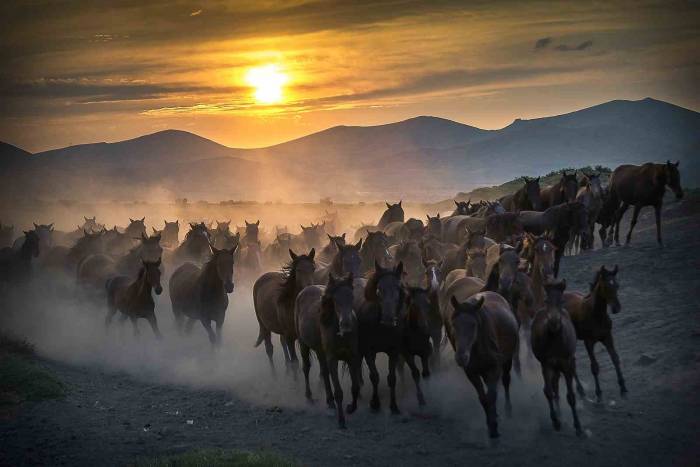 Başkan Büyükkılıç’tan Cumhurbaşkanı Erdoğan’a Teşekkür, Doğa Tutkunlarına Davet