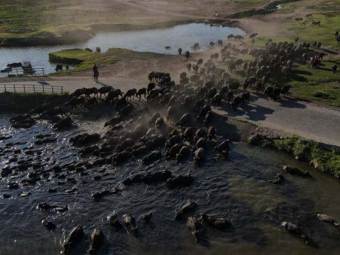 Bu Güzellik ’kesin Korunacak Hassas Alan’ İlan Edildi