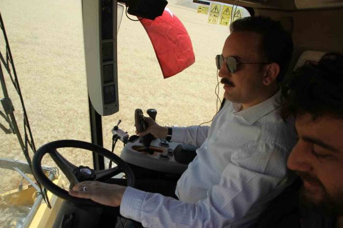Kaymakam Bayram Biçerdöverle Hasat Yaptı