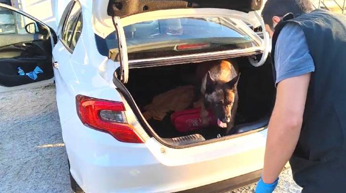 Narkotik Köpeği Otomobilin Bagajındaki Uyuşturucuyu Buldu