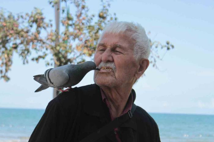 Ağzıyla Günde 500 Güvercini Besliyor