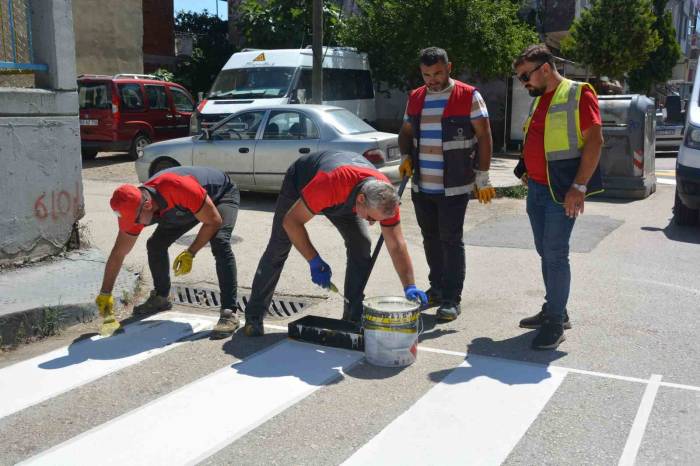 Ordu’da Yaya Geçitleri Ve Kasisler Yeniden Boyandı
