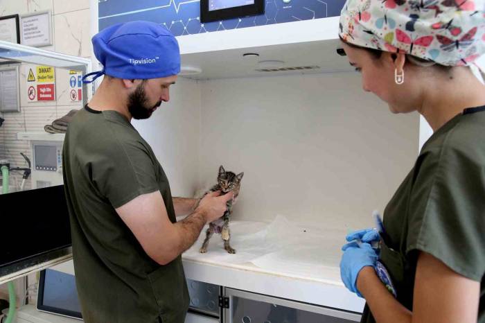 Bu Merkezde Her Gün Yüzlerce Can Dostu Şifa Buluyor