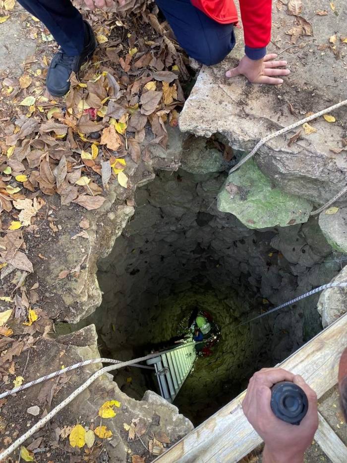 Kuyuya Düşen Buzağıyı Kurtarmak İçin Seferber Oldular