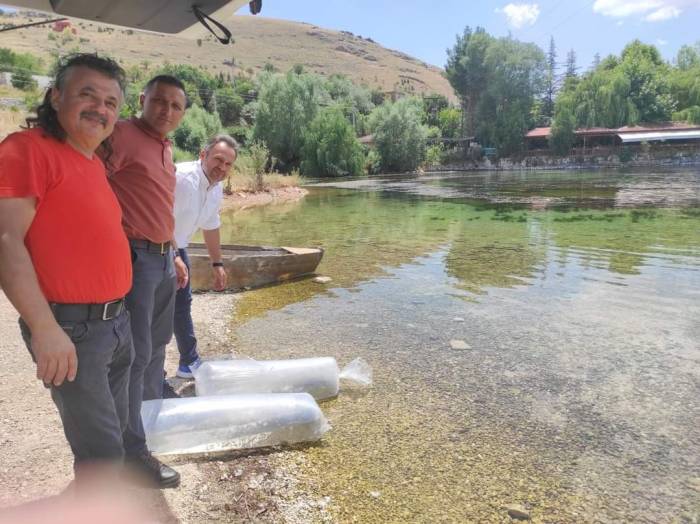 Göletlere Son Bir Haftada 1 Milyon 52 Bin Yavru Sazan Balığı Salındı