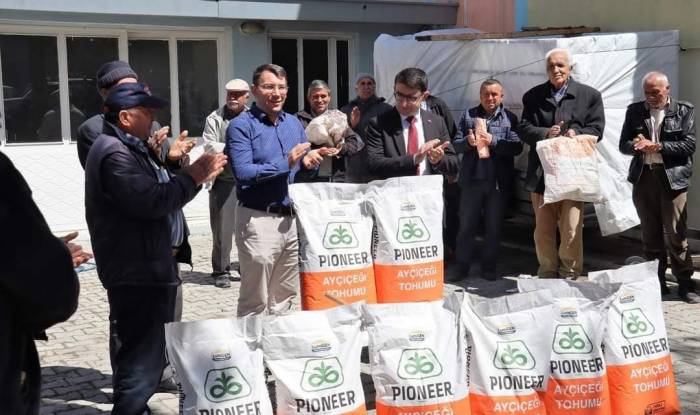 Afyonkarahisar’da Yüzde 75 Hibeli Dağıtılan Ayçiçek Tohumları Çiçek Açtı