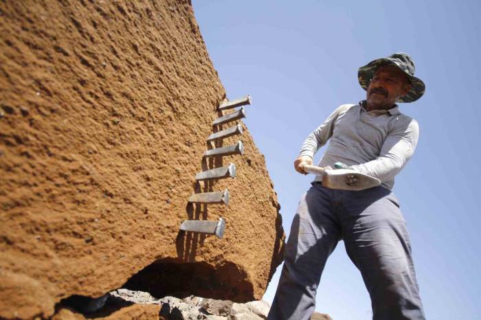 Kavurucu Sıcakta Ekmeklerini Taştan Çıkarıyorlar