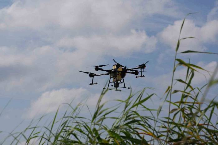 Drone İle Sinek Avı