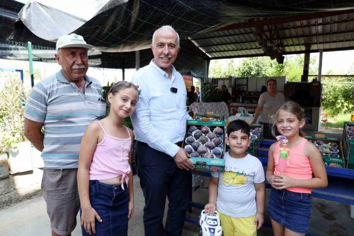 Mersin’de Siyah İncir Hasadı Yapıldı