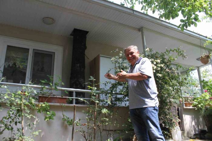 Baba Mirası Ağacı Kesmeye Kıyamadı: 11 Yıldır Evin Balkonundan Geçen Ağaçla Yaşıyor