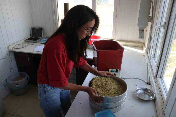 Ofis, Çiftçinin Karagün Dostu Oluyor