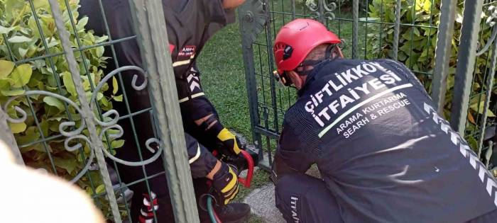 Yalova’da Demir Bahçe Kapısına Sıkışan Kirpi Kurtarıldı