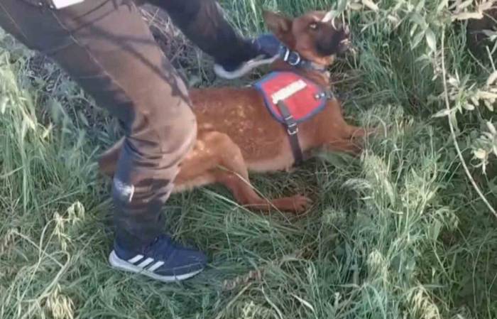 Aksaray’da Uyuşturucu Operasyonu