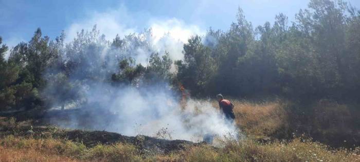 Amasya’da Çıkan Yangın Ormanlık Alana Sıçradı