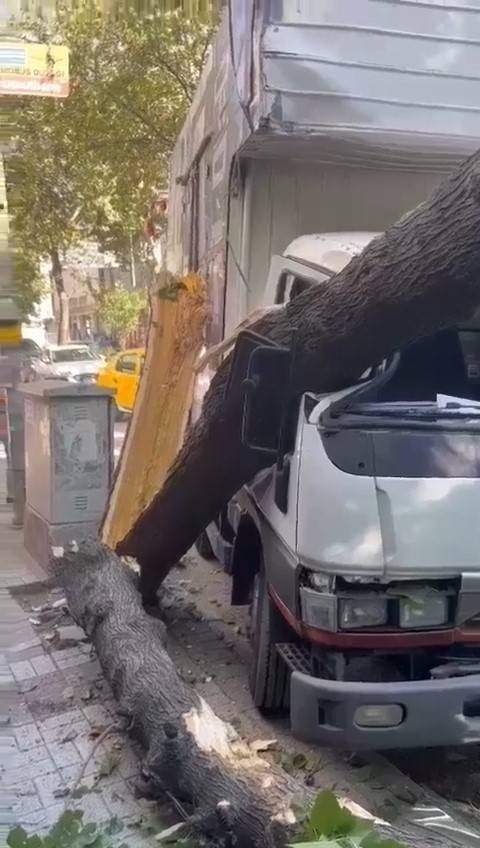Ağaç Kamyonetin Üzerine Devrildi