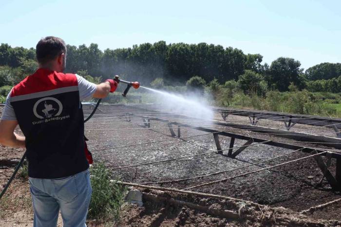 Kalıcı Su Birikintilerine Dikkat