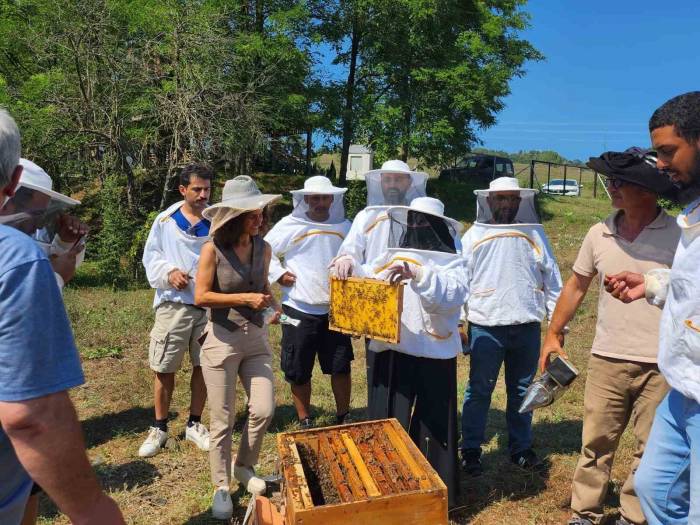 Apiturizm Faaliyetleri Dagem İle Dünyaya Tanıtılıyor