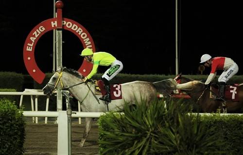 Elazığ İl Tarım Müdürlüğü Koşusu’nu ’dörtnalbeyi’ Kazandı