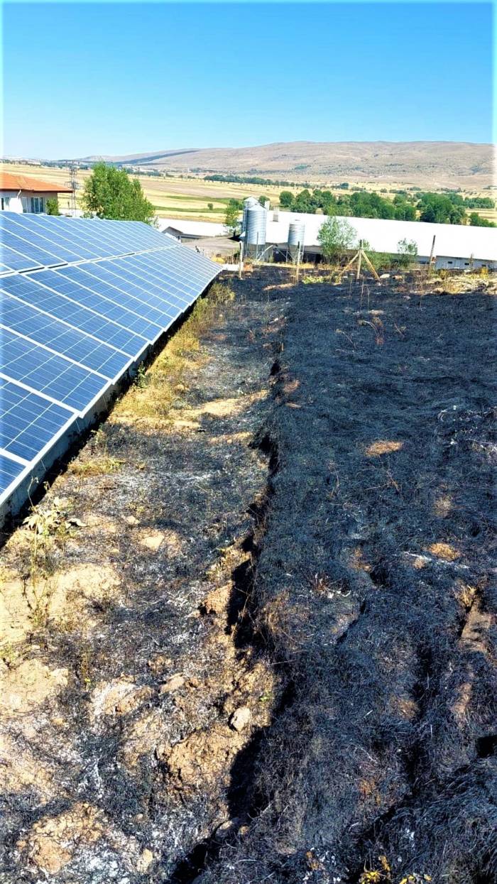 Çöpleri Yakmak İsterken 20 Dönüm Ekili Araziyi Küle Çevirdi