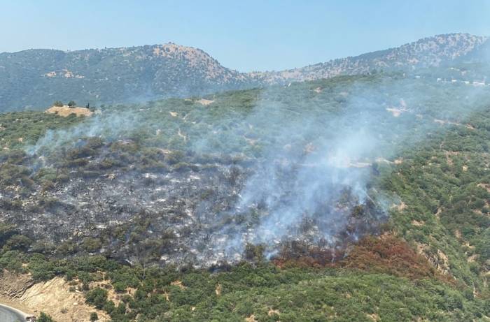Araç Yangını Ormana Sıçradı, Havadan Müdahale Başladı