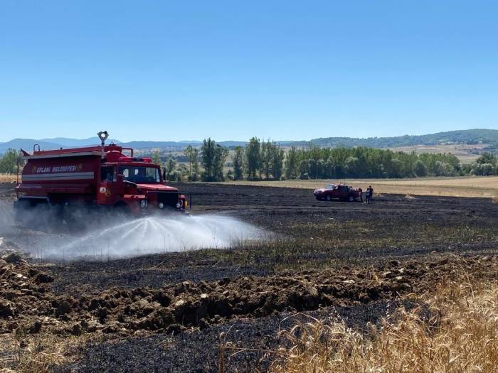 Buğday Tarlasındaki Yangında 20 Dönüm Alan Zarar Gördü