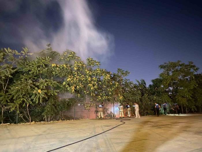 Veliefendi Hipodromu Önündeki Yangında Kundakçı Şüphesi: Hipodromun Karşısındaki İki Ayrı Noktada Yangın