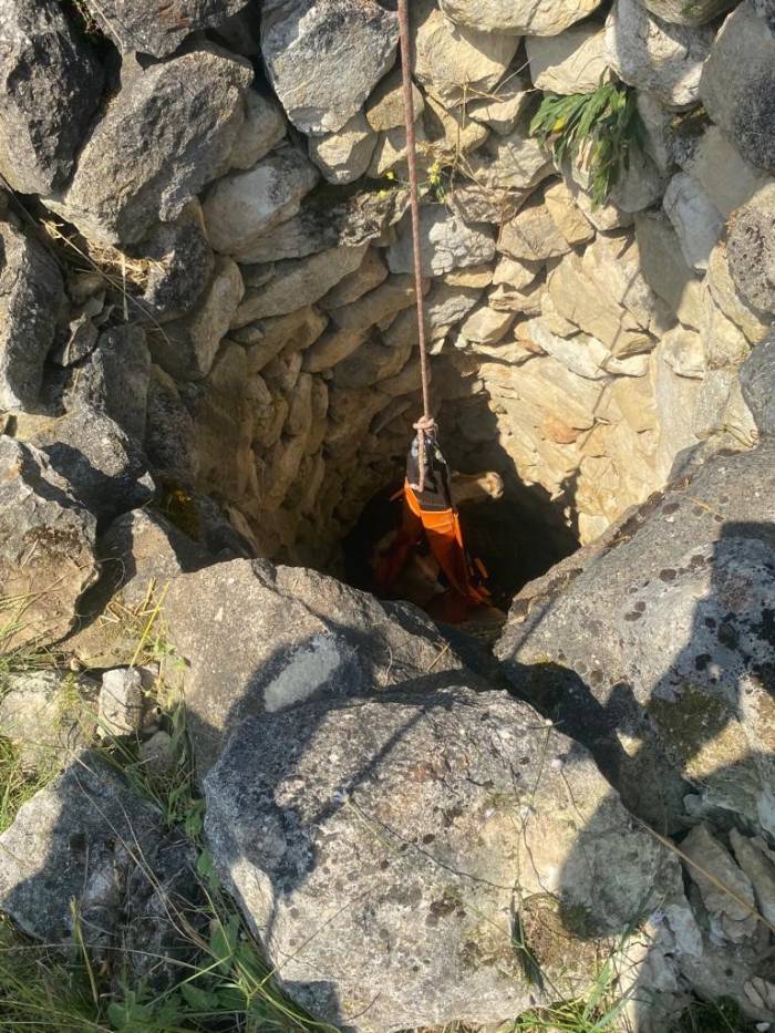 Kuyuya Düşen İnek 4 Gün Sonra Kurtarıldı