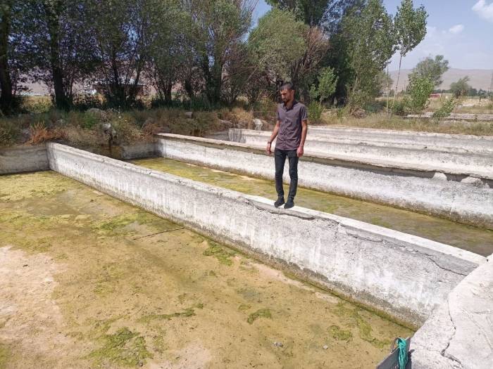 Gürpınar’daki Tesiste Binlerce Balık Telef Oldu