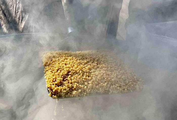 Ağrı’da Dev Kazanlarda Kışlık Bulgurlar Kaynatıldı