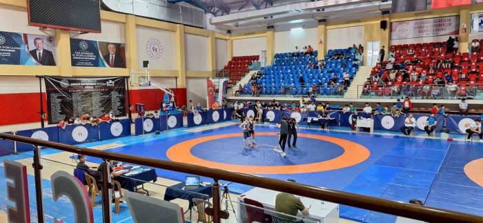 Serbestte Samsun, Grekoromende Trabzon Birinci Oldu