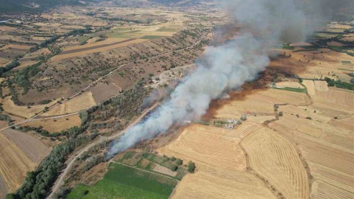 Başkent’te Tarlada Çıkan Yangın Korkuttu