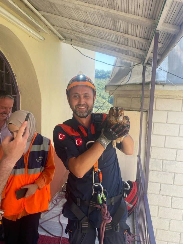 Giresun’da Minarede Mahsur Kalan Baykuş Kurtarıldı