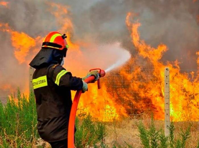 Gkry, Kktc’nin Orman Yangını İçin Yaptığı Yardım Teklifini Geri Çevirdi