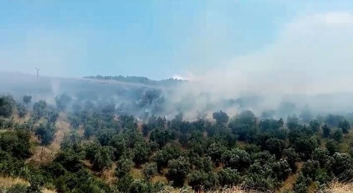 İznik’te Makilik Alanda Çıkan Yangın Söndürüldü