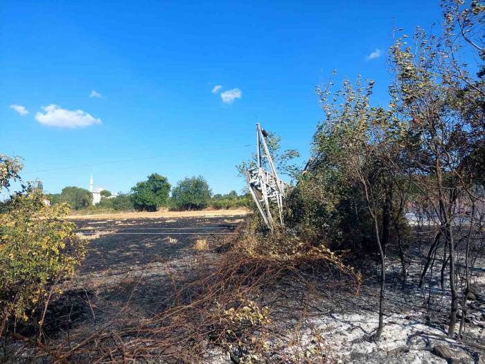Çan’da Orman Yangını Büyümeden Söndürüldü