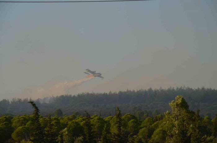 Didim’deki Yangın 4,5 Saat Sonra Kontrol Altına Alındı