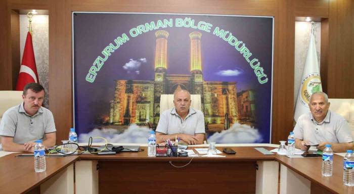 Ormancılık Masaya Yatırıldı